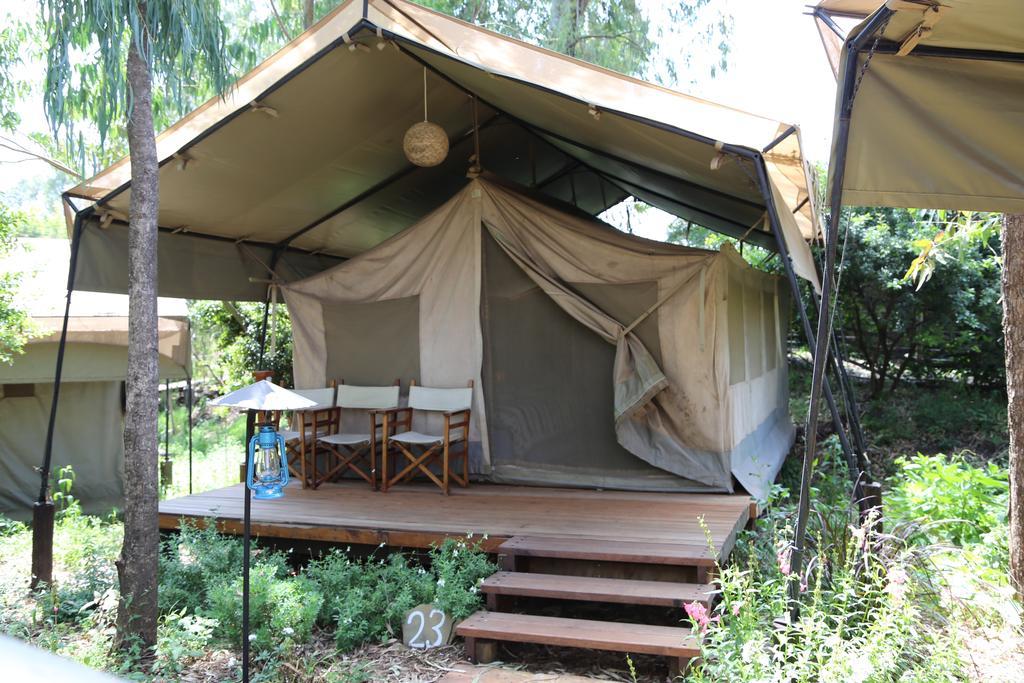 Wildebeest Eco Camp 3*