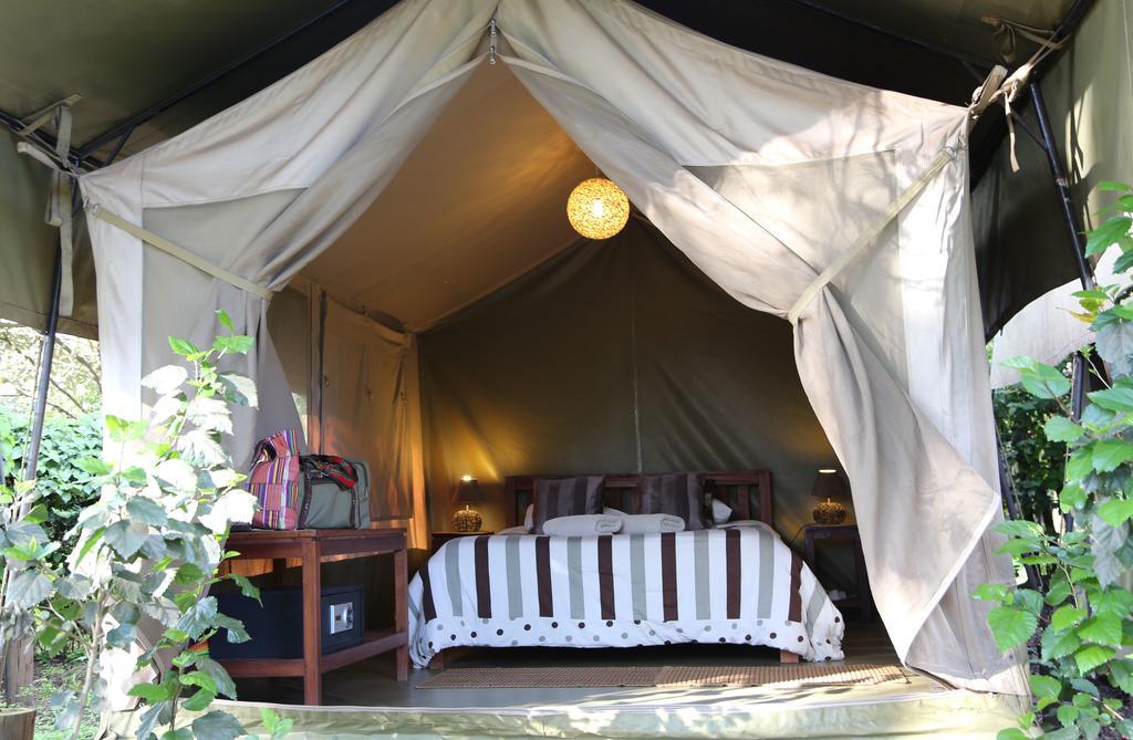 Tente de luxe Wildebeest Eco Camp