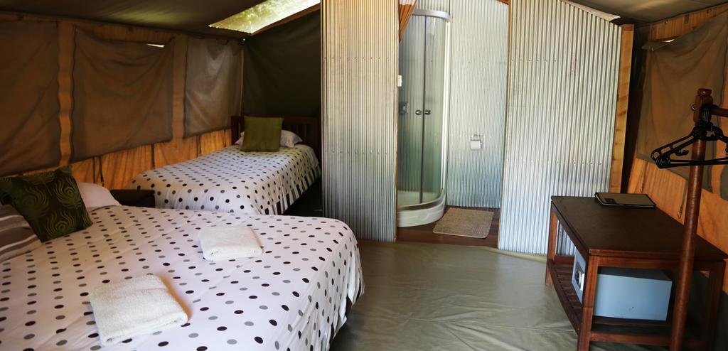 Tente de luxe Wildebeest Eco Camp
