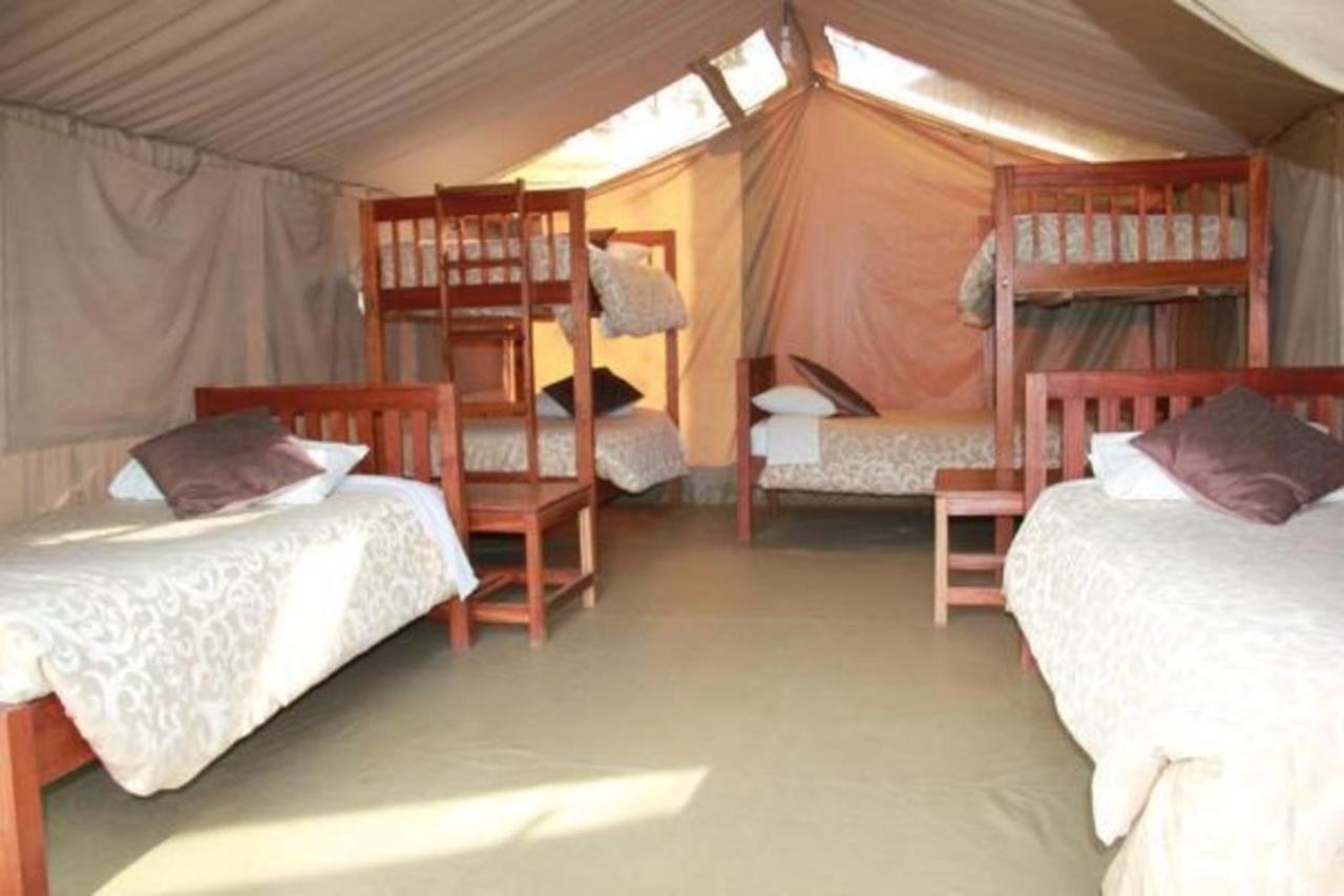 Tente de luxe Wildebeest Eco Camp 3*