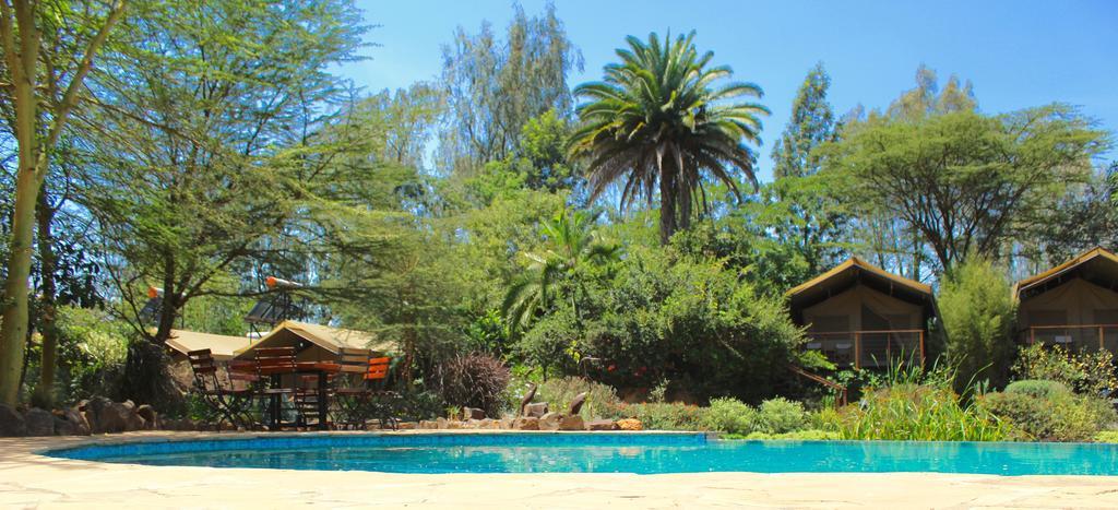 Wildebeest Eco Camp
