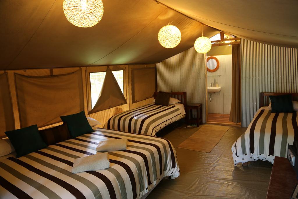 Luksusowy namiot Wildebeest Eco Camp Nairobi