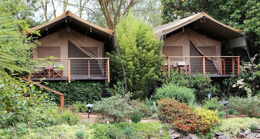 Luksusowy namiot Wildebeest Eco Camp 3*