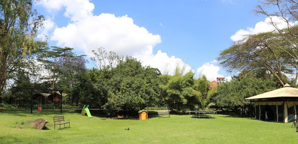 Wildebeest Eco Camp Luksusowy namiot 3*