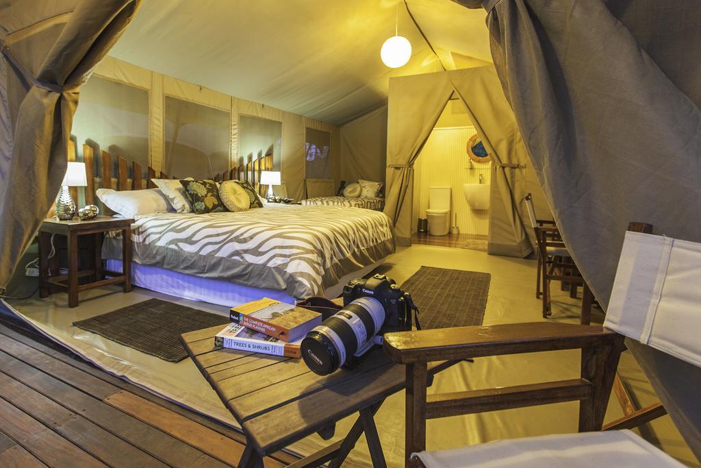 Luksusowy namiot Wildebeest Eco Camp