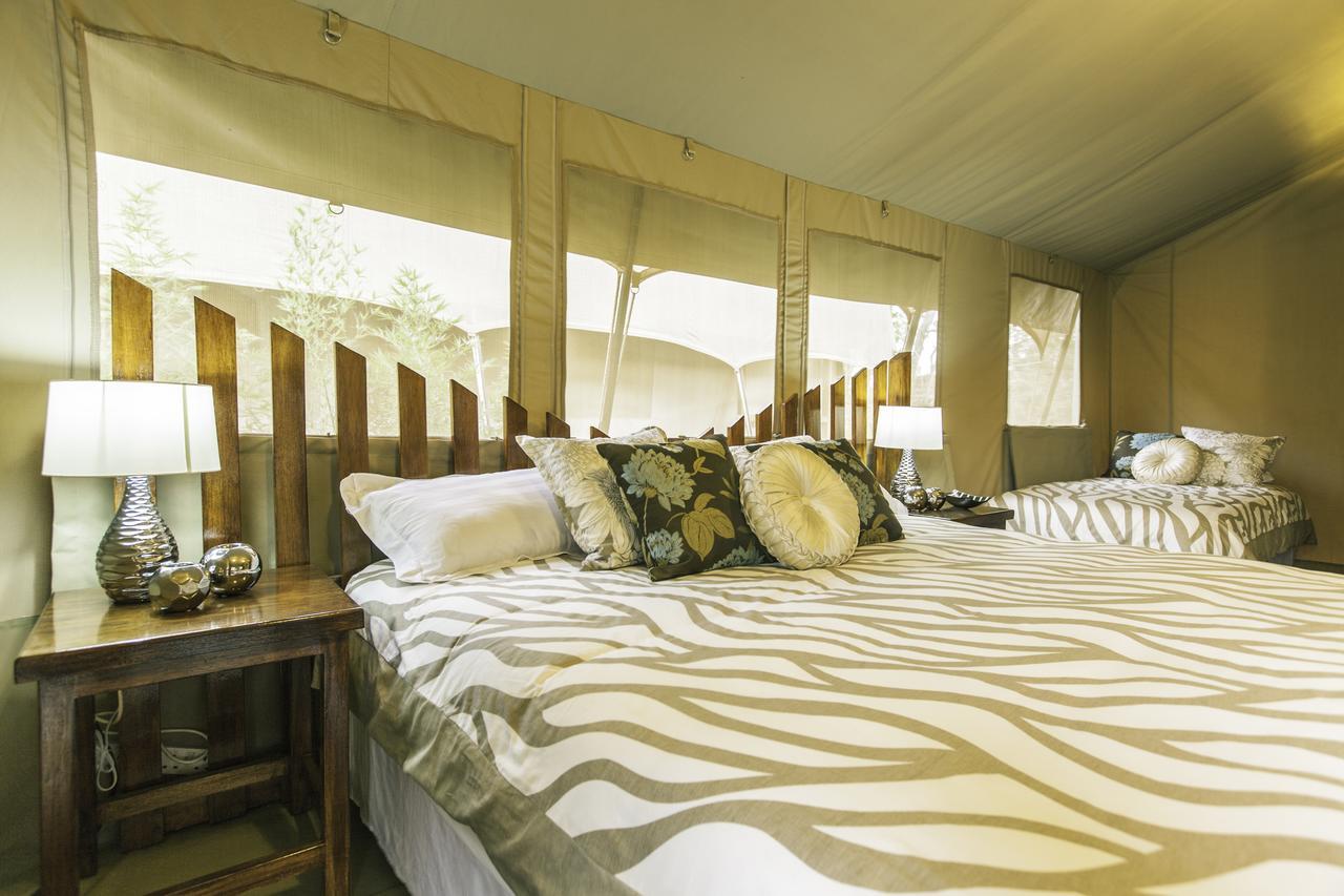 Luksusowy namiot Wildebeest Eco Camp